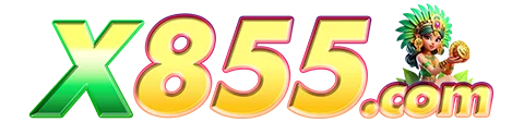 X855.COM